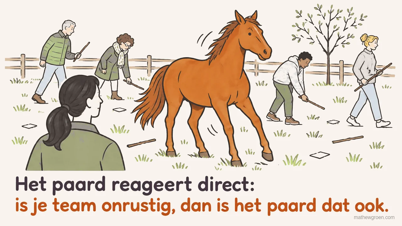 Wat een paard laat zien over je team